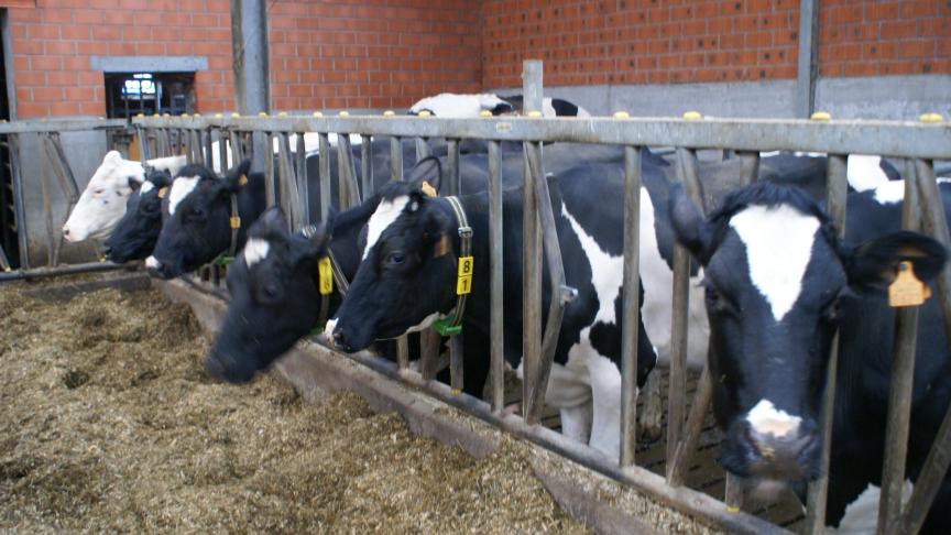 IKM is een interprofessioneel kwaliteitssysteem dat de engagementen van de melkveehouders naar de maatschappij vertaalt.