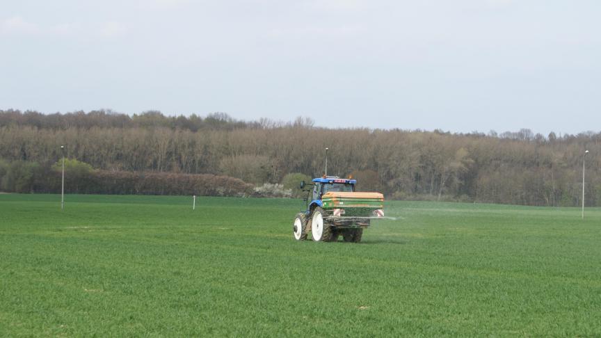 Evenwichtig bemeste planten zijn robuuster.