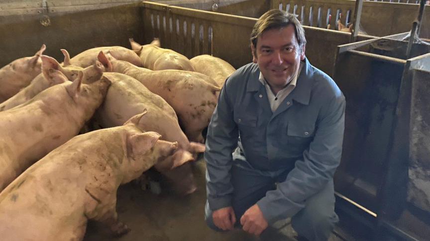 Vlaams parlementslid Bart Dochy, tussen de varkens: Waarom krijgen onze Vlaamse varkenshouders zo weinig voor hun topproducten?
