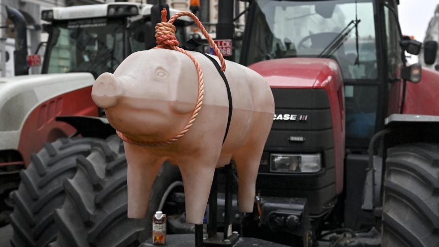 Boze varkensboeren protesteerden recent nog in Brussel tegen het uitblijven van voldoende steun.
