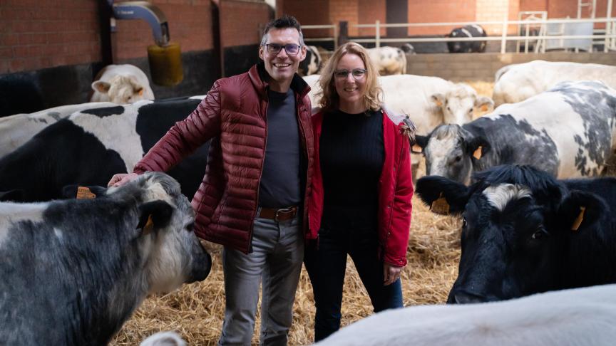 Kristof kiest zijn stieren op basis van schofthoogte, bespiering en beenwerk.