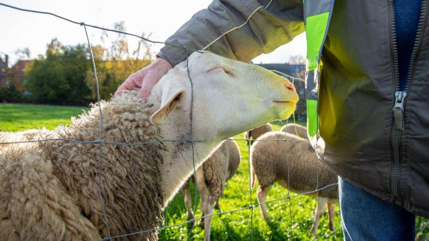 De wetgeving moet uniform en volledig worden toegepast in alle lidstaten, in plaats van aangescherpt of verder uitgebreid.