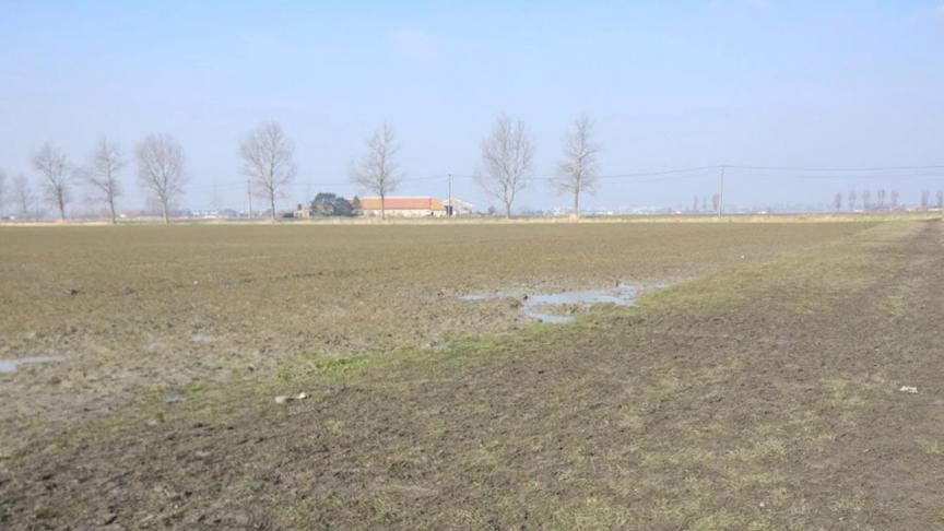 De VLM herinnert er aan dat het verboden is om op graskruidenstroken te wandelen of te rijden met een voertuig.