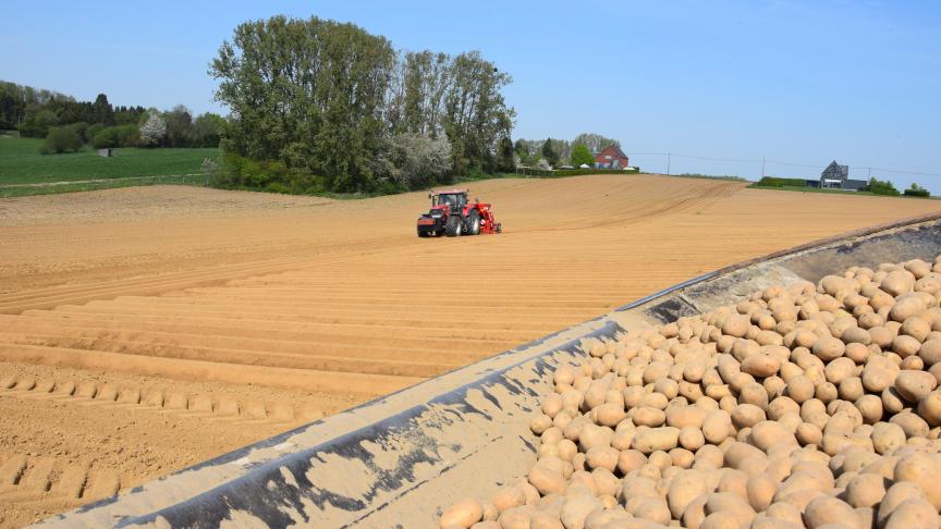 Recente ontwikkelingen maken dat de pootgoedmarkt dynamischer is geworden dan ooit.