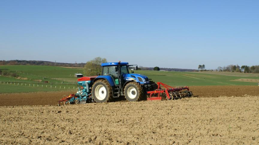Zomergranen uitzaaien levert maar weinig op.