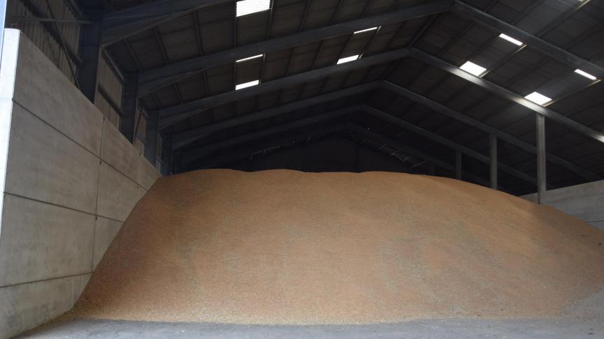 Europa’s graanschuur is niet leeg, maar het geraakt niet hier door de Russische oorlog in Oekraïne.