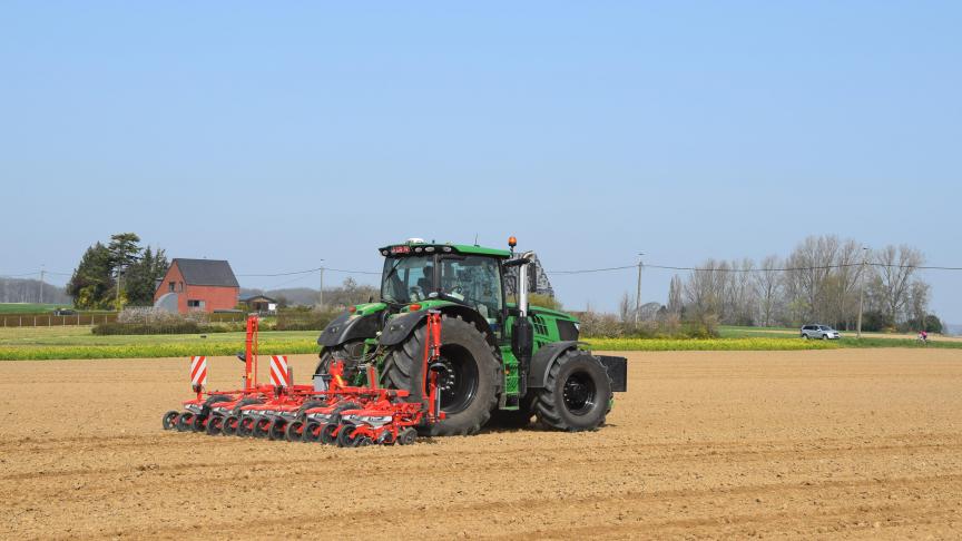 In sommige bietenpercelen is er vorstschade merkbaar.