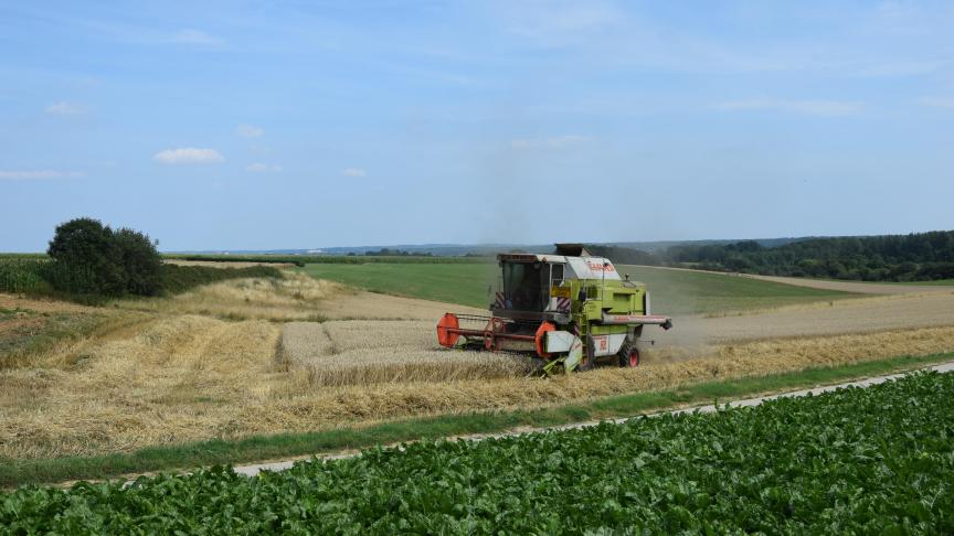 Met een areaal van 50 ha lijkt het ons dat de landbouwactiviteit altijd als een op zich staand landbouwbedrijf zal worden beschouwd, zodat de pachtrechten onverkort zullen blijven bestaan.