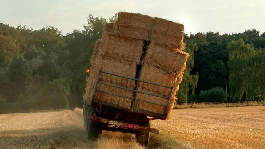 Werken in de land- en tuinbouw in niet zonder gevaar.