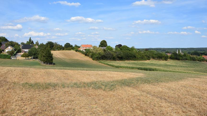 Het Vlaams Rampenfonds weigerde geen aanvragen in het kader van de droogte 2020.
