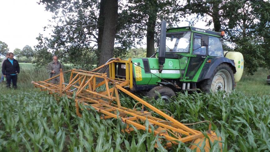 Een onderbladbehandeling kan knolcyperus goed bestrijden.
