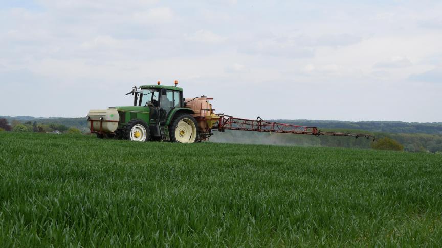 Gele roest breidde afgelopen week uit naar de bovenste bladlagen.