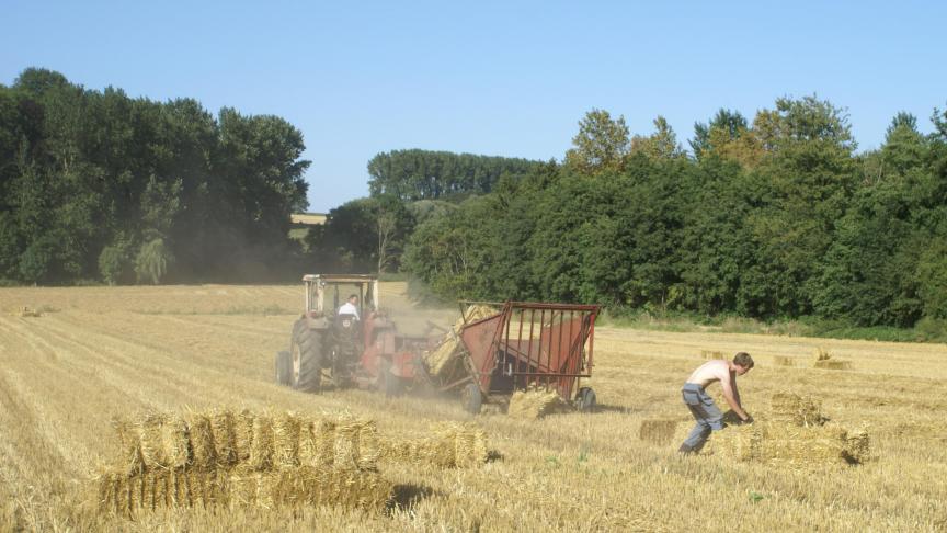 Het ILVO is geïnteresseerd in de ervaring van landbouwers over het samenwerken met burgers.