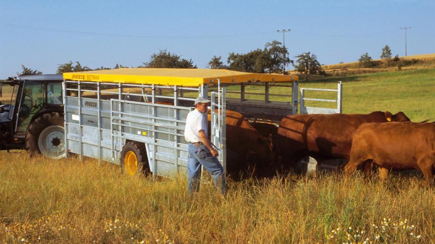 Bij transport van dieren moet men de regels respecteren inzake de bescherming van dieren, anders worden straffen opgelegd.