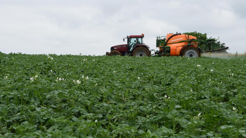 Tegen Phytophthora infestans en alternaria heeft BASF nu nieuwe producten in haar gamma.