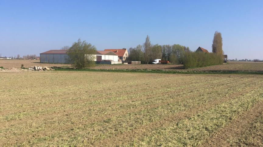 Een bioboerderij kan maximum 2.500 euro voortzettingspremie krijgen.