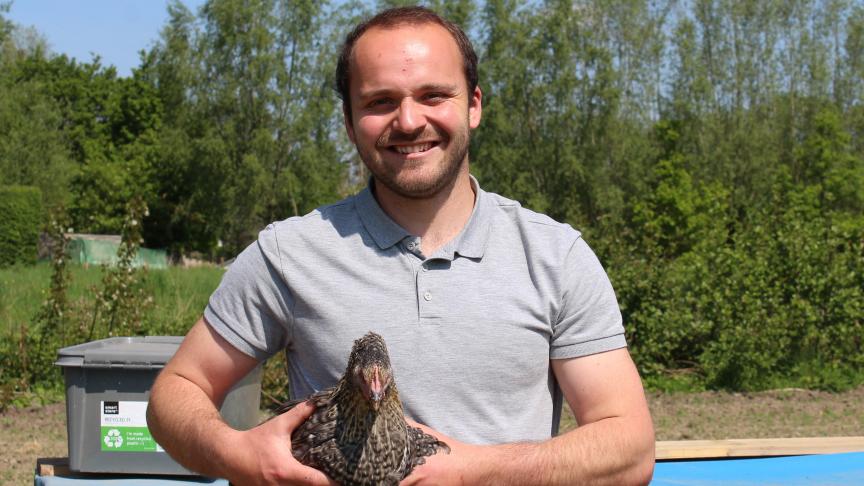 Wiebe Vermiesch startte met  Graskiekens.be als bijberoep, maar hoopt er snel zijn hoofdactiviteit van te maken.