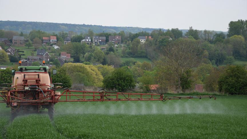 De SALV vraagt om in te zetten op een veelsporige aanpak om de plantengezondheid te waarborgen.