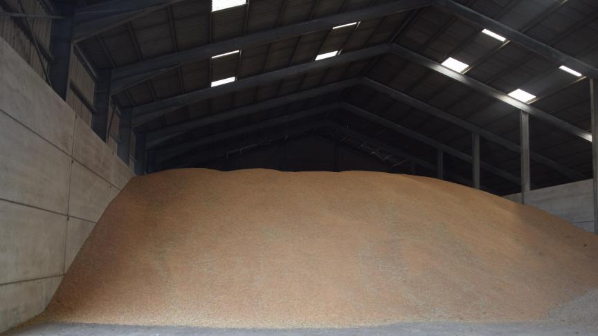 India gaat de export van tarwe nu toch verbieden.