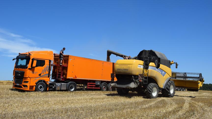 Op de Europese markten moet 435 euro per ton worden betaald voor tarwe.