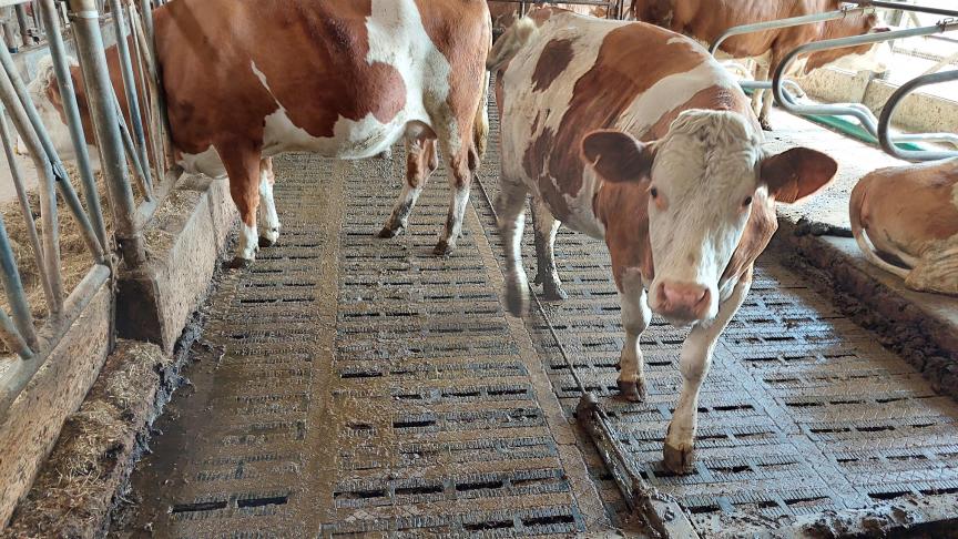 Het PAS-verhaal was al waanzinnig, maar het kan blijkbaar nog erger...