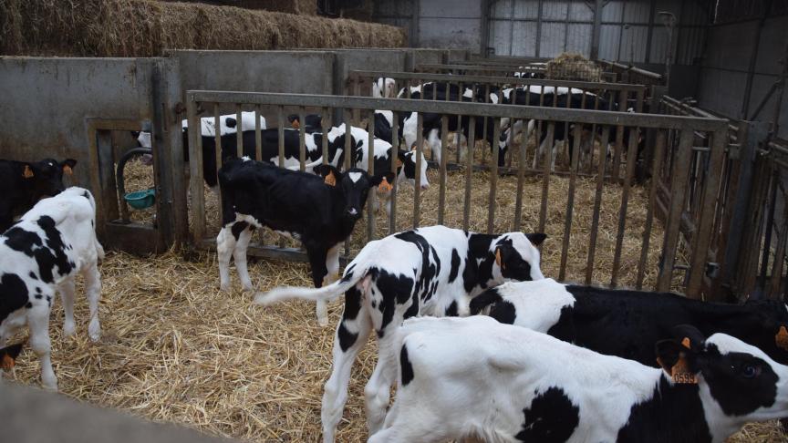 Boeren worden alleen opgeroepen om mee te doen als het in de bedrijfsvoering past.