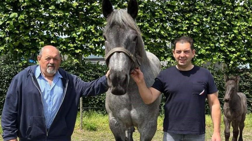 De familie Smeers uit Borgloon met vader Max en zoon Nico en in het midden hun merrie Dolinde van het Hokselaarhof.
