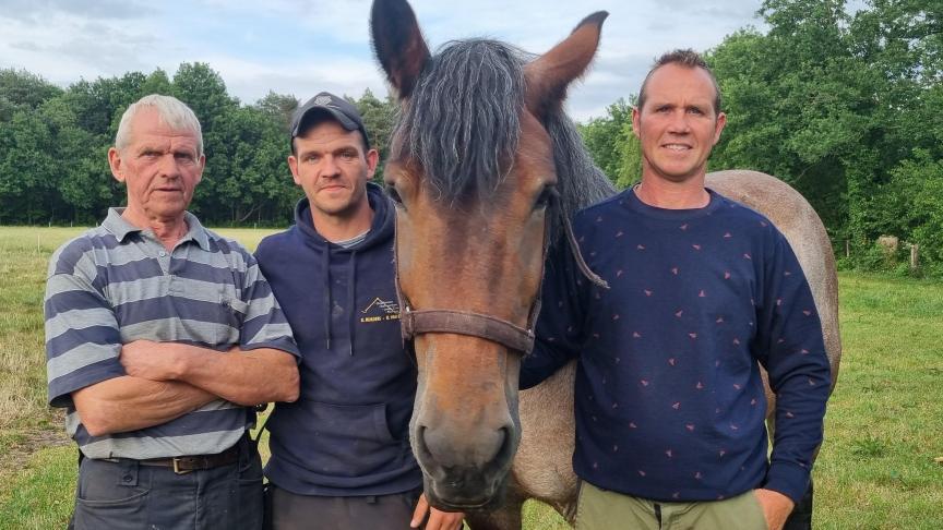 Familie Smeers uit Houthalen-Oost met vader Jos, zonen Steve en Yves en hun merrie Jana.