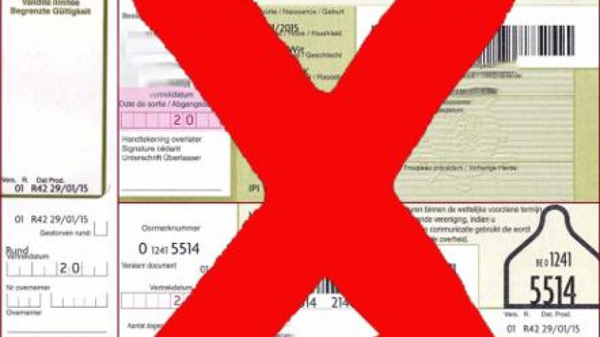 Het oude paspoort wordt vervangen door een verplaatsingsdocument (binnenlandse handel) of een identificatiedocument (export).