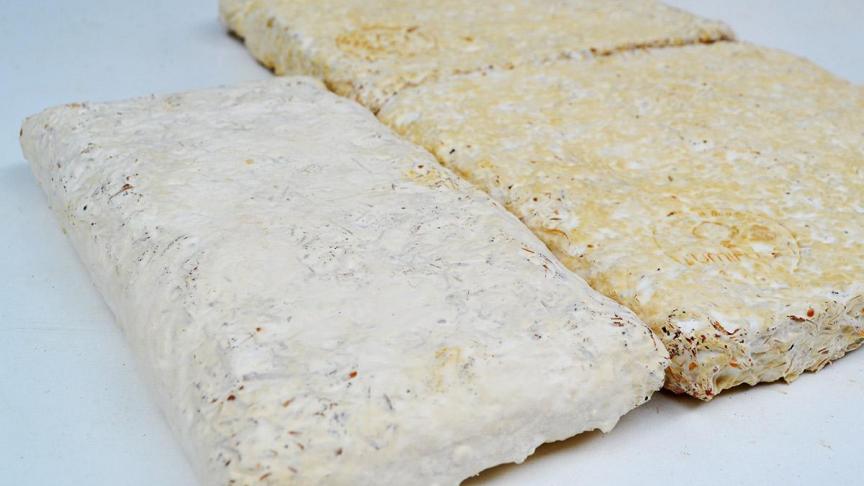 PermaFungi start nu ook de productie van isolatiepanelen.