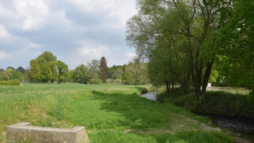 De grondwaterstanden zijn na een gemiddeld drogere meimaand bijna overal gedaald.