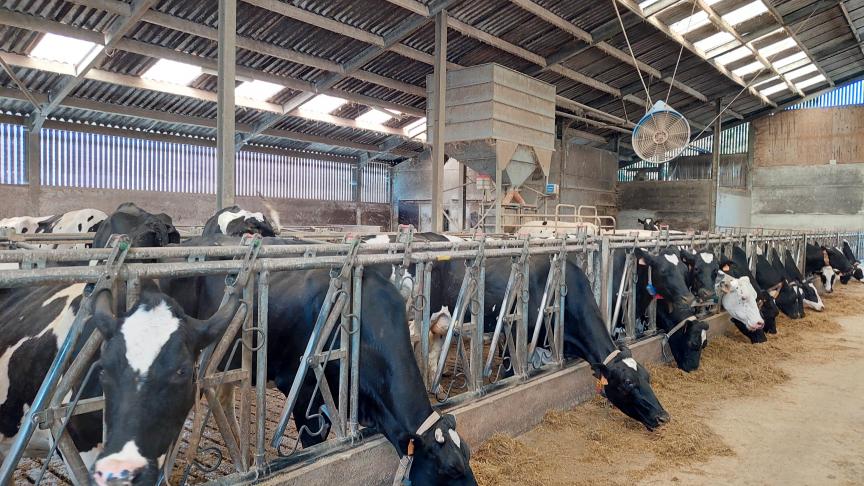 Stikstofplannen zijn nationale keuze.