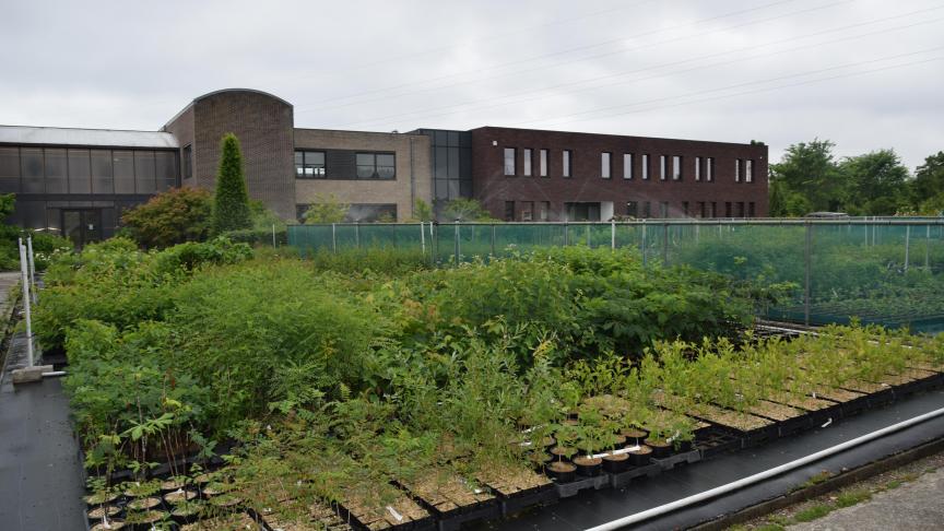 Het PCS ligt op een site van 20 ha, in Destelbergen.