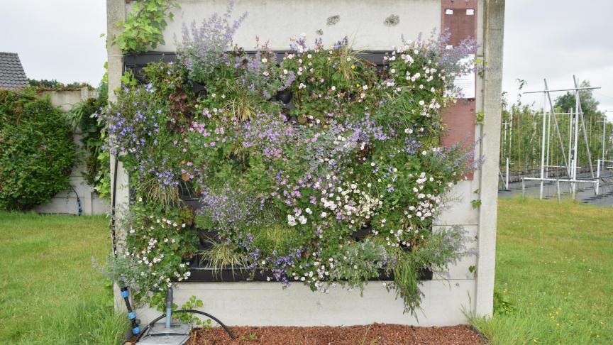 Ook naar verticale sierteelt wordt onderzoek gedaan, eventueel door bedrijven.