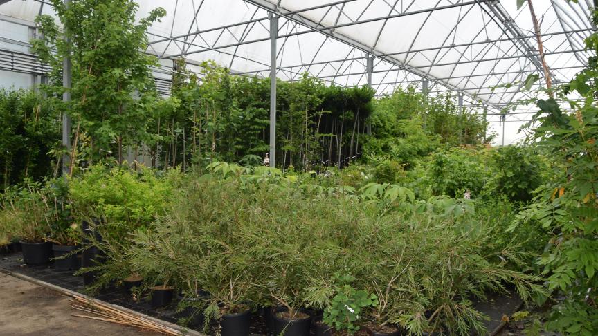 De serres zijn dicht, maar kunnen opengedaan worden in de zomer.