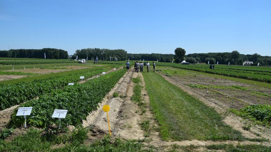 Op de proefhoeve van Certis Belchim werden mensen rondgeleid. Het terrein van de proefhoeve telt 13 ha, en proeven in meer dan 40 teelten.