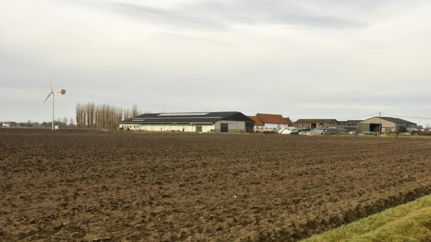 Voor kleine en middelgrote windturbines geldt voor VLIF-subsidies dat de geproduceerde hernieuwbare energie ook moet worden gebruikt op het landbouwbedrijf zelf.