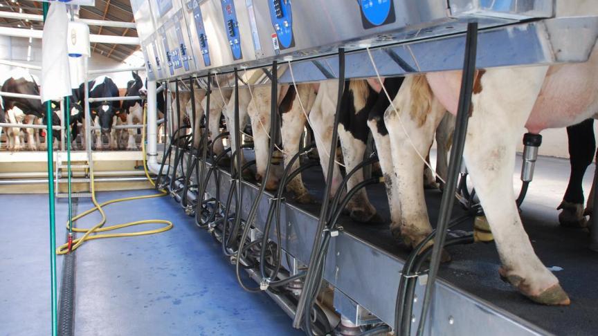 De melkprijs van mei 2022 ligt 46% hoger dan de melkprijs in dezelfde maand in 2021.