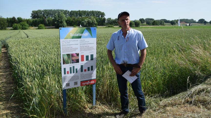 De veredeling in granen is de laatste jaren sterk geweest wat betreft resistentie voor septoria, maar niet voor gele roest , aldus gewasadviseur Christian Walraevens.