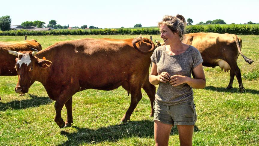 huisvrouw gevaarlijk Blauw Een toekomst voor dubbeldoelkoeien - Landbouwleven