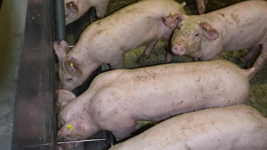 Heel wat stoppers zullen worden belast in het regime van de personenbelasting.