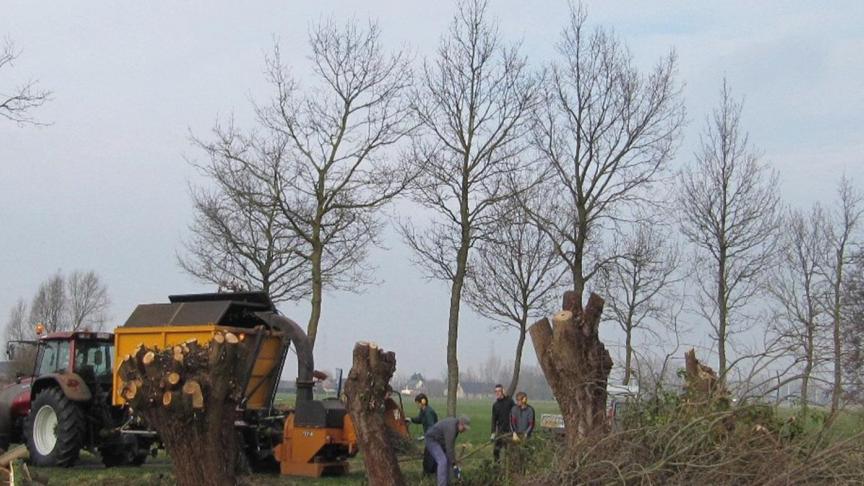 Landbouwers bezitten vaak een zekere hoeveelheid hout afkomstig van houtkanten of van kleine landschapselementen.