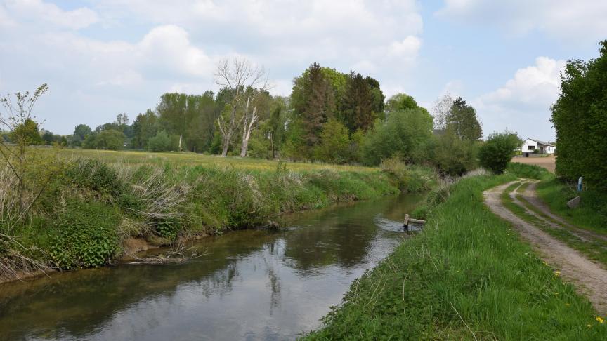 Meerdere provincies stellen onttrekkingsverboden in voor onbevaarbare waterlopen.