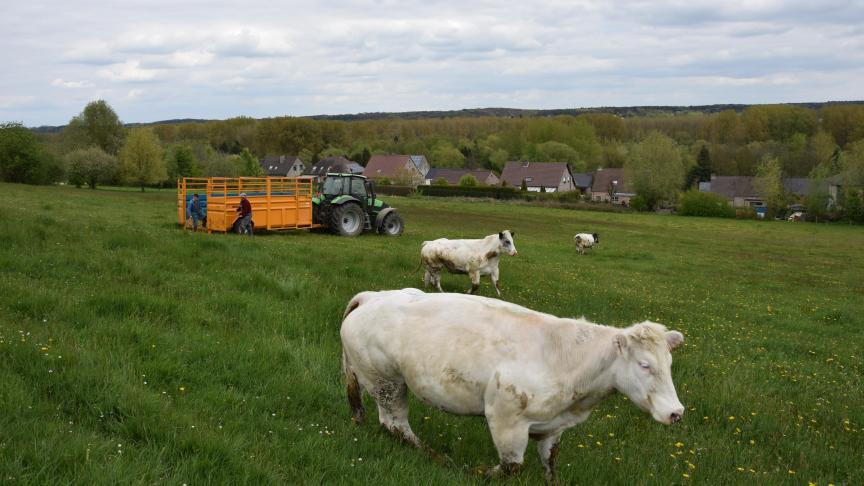 Iedereen wil aan de spreekwoordelijke stikstofkar trekken, maar wel in een andere richting.
