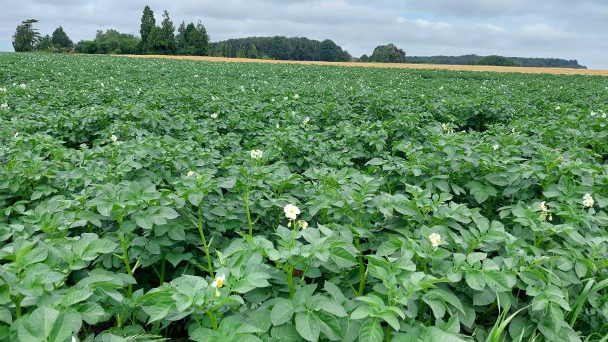 De Belgapomprijs wijzigde niet op 22 juli 2022.