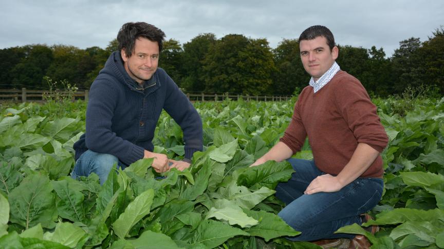 Gilles Manssens en Nicolas Havelange begonnen een samenwerking