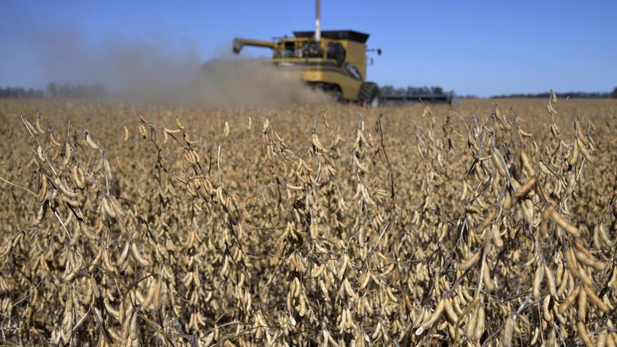 Soja is een belangrijk landbouwproduct voor Argentinië.