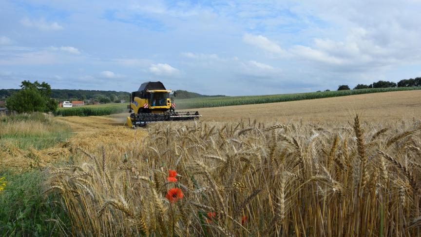 De graanexport zou voor meer stabiliteit en voedselzekerheid zorgen.