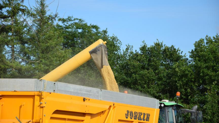 Over het algemeen valt het op dat de korrelopbrengsten van de getuigerassen het laagst waren in 2022.