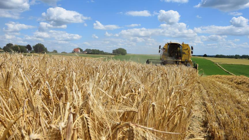 Enkel Wootan scoorde meer dan 5% boven het gemiddelde dit jaar, maar wel nipt.